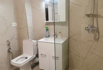 Garsoniera Craiova - Brazda lui Novac, bloc nou - 9