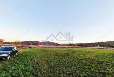 Teren de 3250 mp, în Tomești - 2