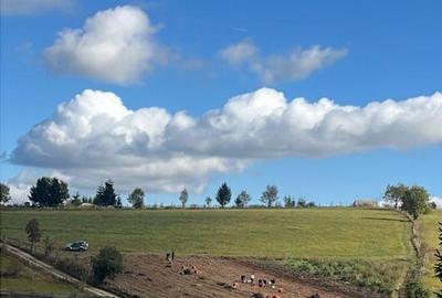 Teren de 14000 mp, în Măguri - 1