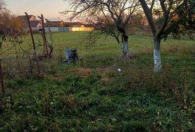 Casa de vanzare la tara, teren generos locatie linistita - 7