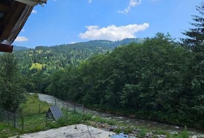 Casă cu 6 camere cu Teren 777 Mp în Panaci - 5