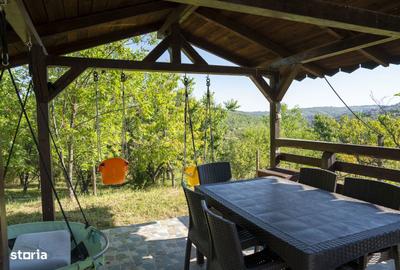 Apartament cu 3 camere decomandat în Dealuri Oradea - 17