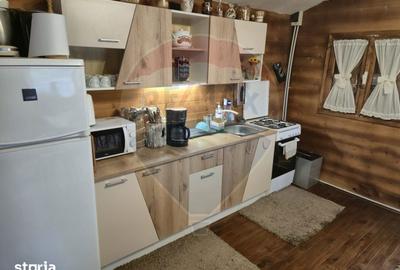 Casă cu 3 camere cu Teren 1268 Mp în Săpânța - 12
