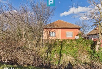 Casă cu 5 camere cu Teren 1629 Mp în Târnova - 1