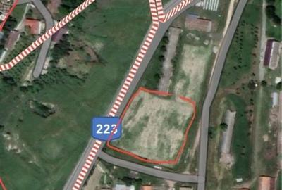 Teren de 4000 mp, în Seimeni - 8