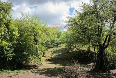 Teren intravilan 3.269 mp in Slimnicpanorama superba... - 5