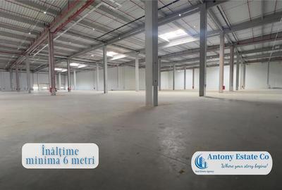 Depozit, Hala Industriala de inchiriat, Giarmata, Timisoara - 3