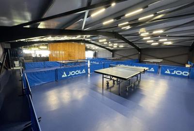 Domnesti, spatiu comercial, P+1, complet utilat, utilitati, 900mp - 11