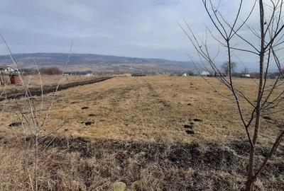 Teren agricol extravilan de 3684 mp, în Iris