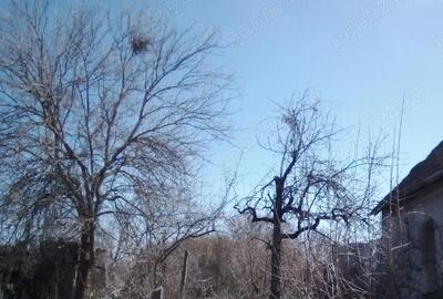 Casă cu 2 camere cu Teren 360 Mp în Crișan - 13