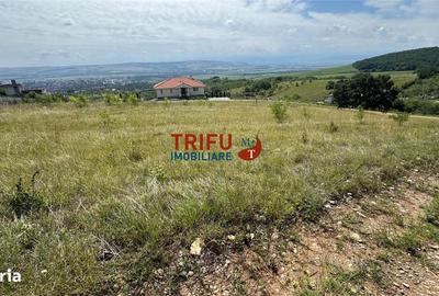 Spațiu comercial, în Cetate