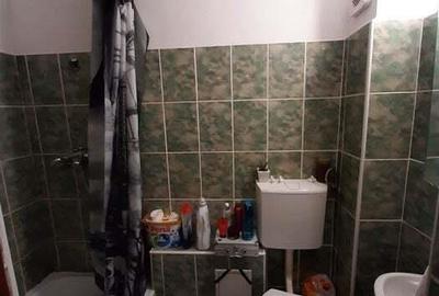 De inchiriat garsoniera zona Buziasului - 3