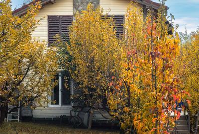Casă cu 4 camere în Făget - 5