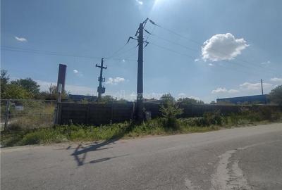 Teren de 16052 mp, în Oravița - 1