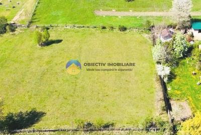 Teren Construcții intravilan de 2000 mp, în Cuejdiu - 1