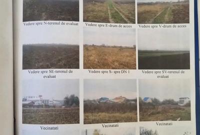 Teren de 1180 mp, în Ciolpani - 3