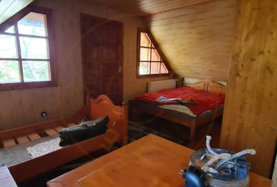 De Vanzare Casa si Cabana 74 ari Viille Satu Mare - 7