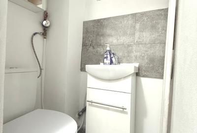 Apartament cu 3 camere decomandat, mobilat în Costin Georgian - 10