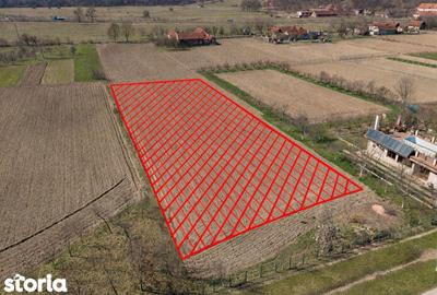 Teren de 2970 mp, în Mașloc - 9