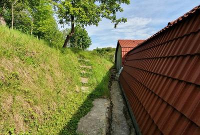 Vind vila in satul ROD- Pe drumul TRANSALPINA - 3