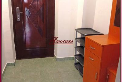 Garsonieră semidecomandată în Valea Rosie - 10