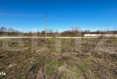 Teren de 1331 mp, în Mischii - 3