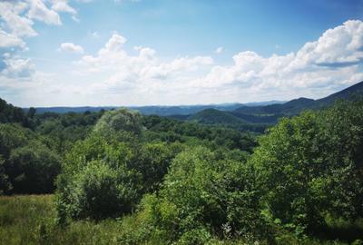 Teren de 42500 mp, în Barbura - 4