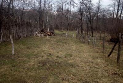 Spațiu comercial, în Iedera - 2