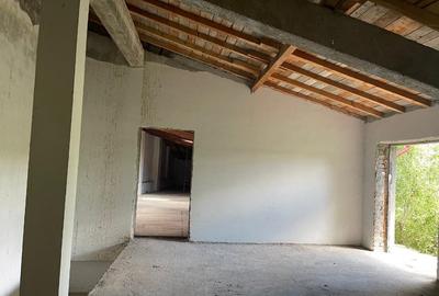 Vilă 2 corpuri – construcție 2012 + casă veche interbelică, curte generoasă - 15