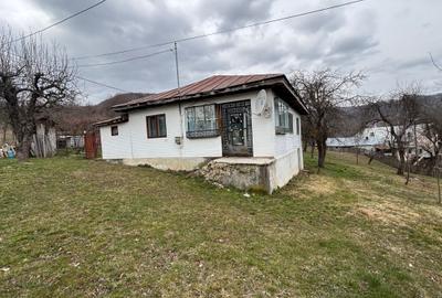 Casă cu 4 camere în Cosminele - 4