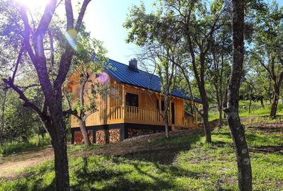 Cabana de vis in Nucsoara - Arges - 69.000 Euro! - 2