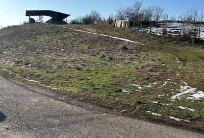 Teren de 1440 mp, în Murani - 4