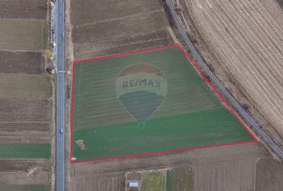 Teren agricol intravilan de 5300 mp, în Prejmer