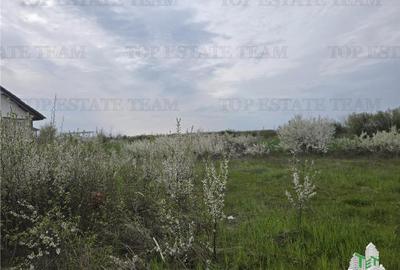 Teren Construcții intravilan de 420 mp, în Joița - 4