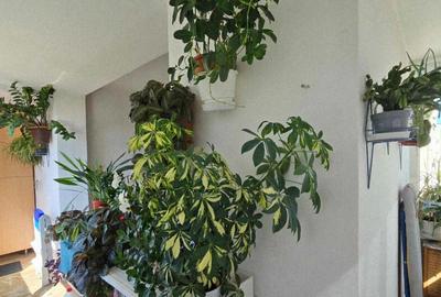 Apartament 2 camere de vanzare Splaiul Crisanei, Decebal - 2