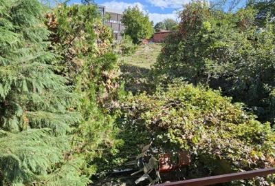 Oferta, casa cu 4 camere, 100mp, curte, langa UMF Oferta, casa cu 4 camere, 100mp, curte, langa UMF - 7