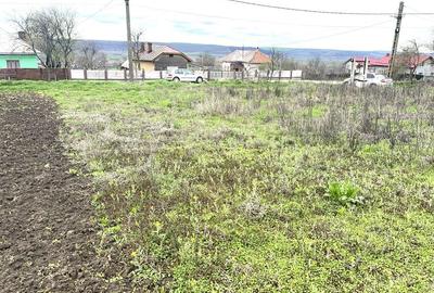 Teren de 555 mp, în Cornetu - 1