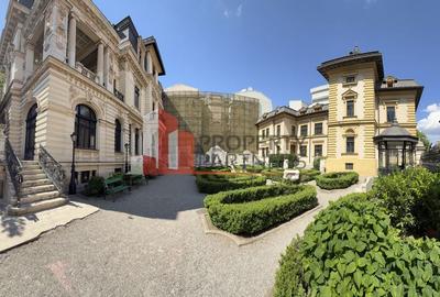 Birouri de inchiriat în Palatul Ghica.