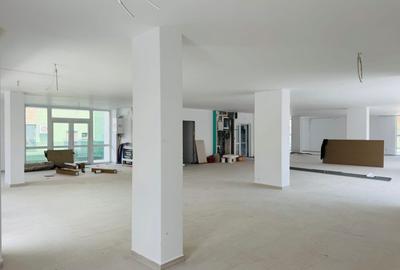 Spațiu comercial, de 290 mp, în Micălaca - 5