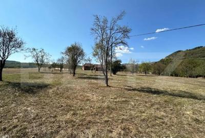 Teren de 14000 mp, în Vințu de Jos - 2