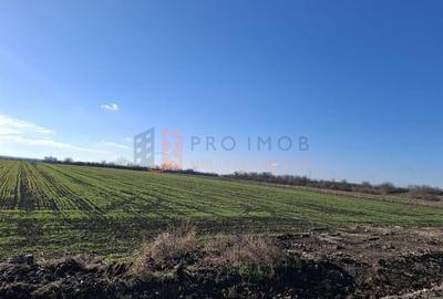 Teren intravilan 2461 mp zona Vadu pasii Nod rutier Autostrada A7 Teren intravilan 2461 mp zona Vadu pasii Nod rutier Autostrada A7 - 2