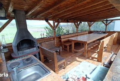 Casă cu 3 camere cu Teren 2135 Mp în Petrești - 18