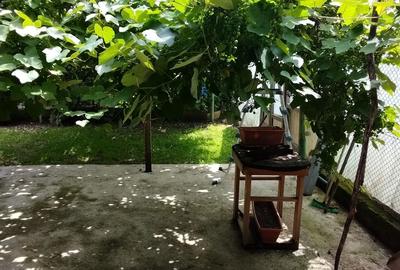 Casă cu gradina 1255mp cu sere, Copaceni , 25km de Cj-N,comision 0% - 9