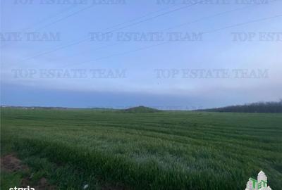 Teren de 15000 mp, în Central - 1