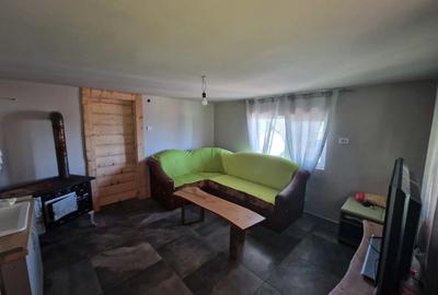 Casa de vanzare in Tranisu ( Valea Draganului ) - 3