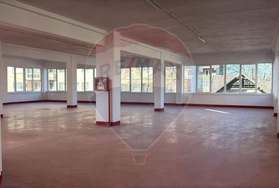 De inchiriat spatiu comercial 754 mp in Marghita, Bihor