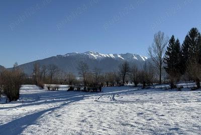Teren intravilan intre 500 si 1000 mp cu vedere panoramica in zona Bran Tohanita - 4
