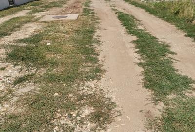 Teren de 667 mp, în Olteni - 5