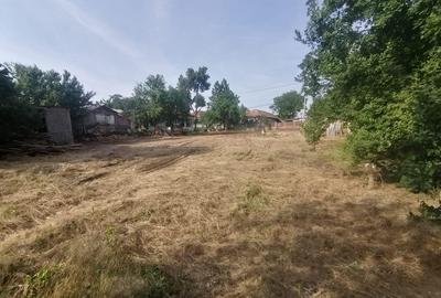 Vlad Tepes sat, jud.Giurgiu - 3