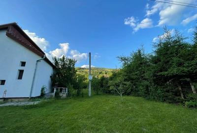 Vand casa jud.alba - 4